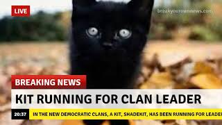 Funny Warrior Cat Memes 3 [upl. by Charmaine]