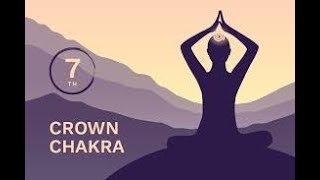 Sahasrara Chakra Meditation  By Gurudev Sri Sri Ravishankar ji [upl. by Nylkcaj828]