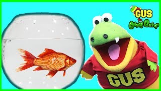 Buying First Pet Fish from PetSmart Family Fun Trip [upl. by Gretta]