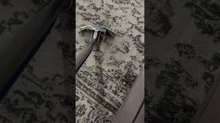 Carpet cleaning with my carpet extractor [upl. by Philemon]