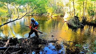 Whos Gonna Tuck The Beavers In Now  Beaver Dam Removal In Beaver Chair Dam Area S2 EP4 [upl. by Alahs]