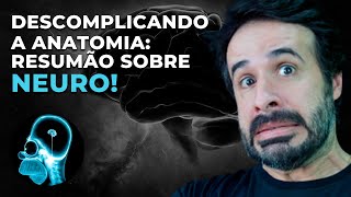 DESCOMPLICANDO A ANATOMIA RESUMÃO SOBRE NEURO [upl. by Ettenig23]