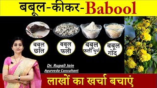 Amazing Health Benefits of बबूल कीकर Babool  सही आयुर्वेदिक सेवनविधि जरुरी  बबूल फली Powder [upl. by Ellekim]