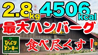 びっくりドンキーで28kg＆4506kcalをガリバーメニューで食べ尽くす！！ [upl. by Ecire]