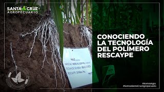 CONOCIENDO LA TECNOLOGÍA DEL POLÍMERO RESCAYPE EN LA EXPO PIONEROS DEL ESTE 2023 [upl. by Beyer]