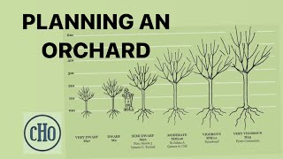 Planning an Orchard  Orientation Rootstocks and Pruning [upl. by Aicital]