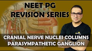 NEET PG SERIES CRANIAL NERVE NUCLEI COLUMS amp PARASYMPATHETIC GANGLION [upl. by Ellatnahc]