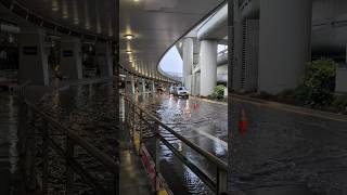 Flooding at SFO due to the recent downpour in the bay area San Francisco International Airport [upl. by Aihsenal]