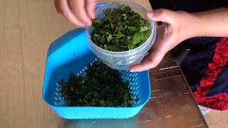 Como congelar cilantro para tus recetas [upl. by Anit]