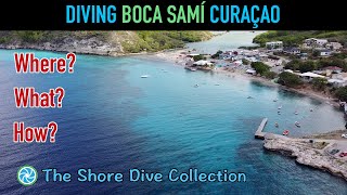 Diving Boca Samí Curaçao  The Shore Dive Collection  TropicLens  4K [upl. by Boesch234]