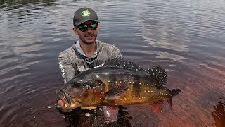 Amazon Sport Fishing  Rio Téa o Rio dos Monstros dia 04 da pescaria… 🤟🏻😁🎣 [upl. by Nagoh]