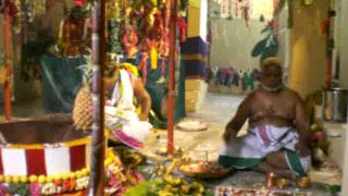 Durga Saptashati Yantra Pooja during Maha Nava Chandi Homam ThiruvallurTamil Nadu [upl. by Seedman123]