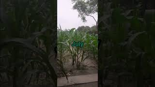 June July August aur September change video [upl. by Mathe]