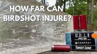 How far is birdshot dangerous [upl. by Wiltshire]