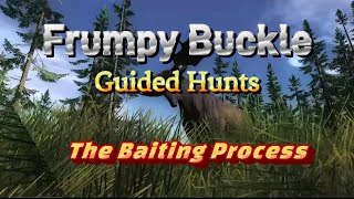 Baiting Process  theHunter Classic [upl. by Esinev304]