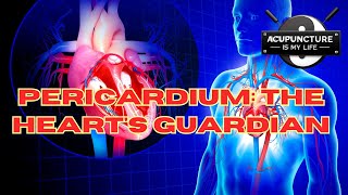 Basic Functions of the Pericardium As Understood by an Acupuncturist [upl. by Zilla521]