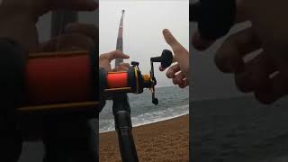 Huge mackerel caught on ragworm bait mackerel fishing beachfishing fishinguk seafishing fish [upl. by Asilegna]