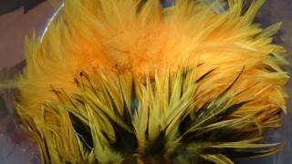 How to Dye Feathers Sunburst with Davie McPhail [upl. by Einal]