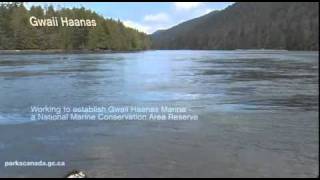 Gwaii Haanas Marine  introduction [upl. by Cottle559]