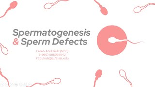 Hormonal Control of Spermatogenesis amp Sperm Defects  Farah Abul Rub  ERP 122 PAL review session [upl. by Carolyne825]