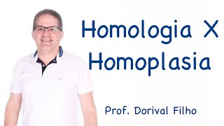 Evolução  Homologia x Homoplasia [upl. by Pani424]