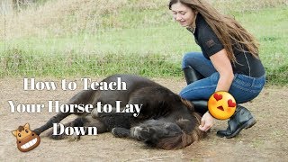 How to Teach Your Horse to Lay Down NO ROPES [upl. by Azitram]