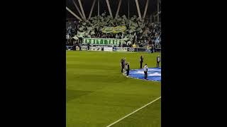 HAMMARBYMAN CITY TIFO hammarby bajen [upl. by Dulci786]