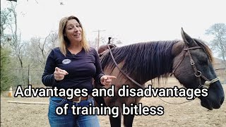 Bitless  Advantages and Disadvantages of training a horse in a bitless bridle  Sidepull [upl. by Nerhtak]