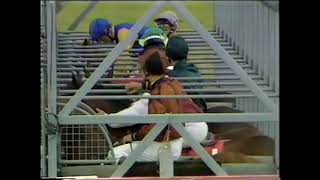 1988 Irish Derby Curragh [upl. by Yasnil769]