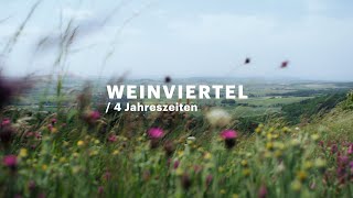 365 Tage Genuss im Weinviertel [upl. by Yroggerg]