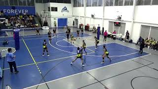 Elevate Sport Cup  Voleibol  CRP Vs Boston  SUB15 FEM [upl. by Levitus212]