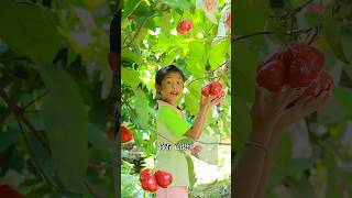 Gudiya gai garden me shorts funny gudiya [upl. by Kendall]