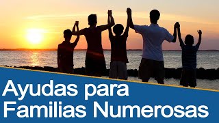 Ayudas para Familias Numerosas  Beneficios Subvenciones y Descuentos [upl. by Chrotoem]