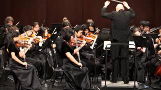 Contrasts in e minor Feese  Troy Concert Orchestra MSBOA District Festival 3152014 [upl. by Erhard]