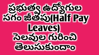 ప్రభుత్వ ఉద్యోగుల సగం జీతపు సెలవుల Half Pay Leavesగురించి తెలుసుకుందాం [upl. by Hayarahs]