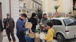 Siderno RC  festa Patronale di San Nicola 2024  quotBenedizione dei buoiquot  88 [upl. by Anelys]