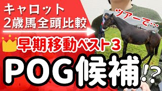 【pog202425】【一口馬主】キャロット２歳馬早期移動ベスト３！ダービー馬のデビュー時期は？ [upl. by Andromache]