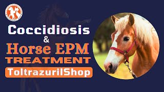 Horse Coccidiosis amp Horse EPM Treatment with Toltrazuril 5  Your Comprehensive Guide [upl. by Naara]