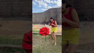 Aguando a planta shortvideos humor canaldecomedia comedyshorts comedy [upl. by Roselle]