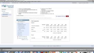 PayScale DemonstrationHRPyramidmp4 [upl. by Onirotciv342]