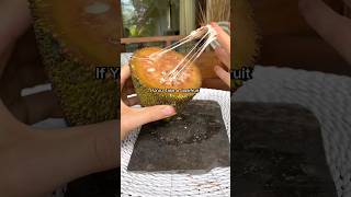 Incredibly Sticky Tropical Fruit That Looks Like Meat jackfruit recipes exoticfruits [upl. by Templas546]