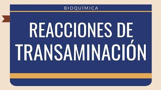 🔄REACCIONES DE TRANSAMINACIÓN  Explicación FÁCIL y FUNCIÓN✅ AÁ [upl. by Lambard120]