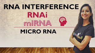 RNA Interference I RNAi I miRNA I Micro RNA I stRNA I Small Temporal RNA I Post Transcriptional [upl. by Baldridge]