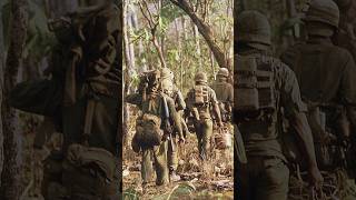 Battle of the Ia Drang Valley  This Day in History November 14th  shorts vietnam war ladrang [upl. by Kast]