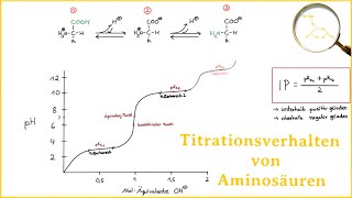 Titrationsverhalten von Aminosäuren [upl. by Sadella944]