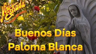 Buenos Días Paloma Blanca  Nini Estrada Letra Lyrics [upl. by Anawk]