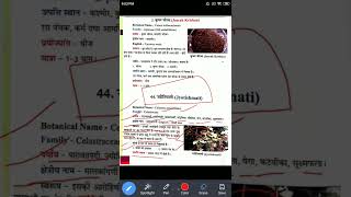 Jyotismati  ज्यौतिष्मति  BAMS 2nd Year Lecture  Dravya Guna Lecture 🌿  Major Plant Lecture [upl. by Adamsun]