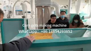 500kgh Corn grits making machine maize milling machine [upl. by Donica]