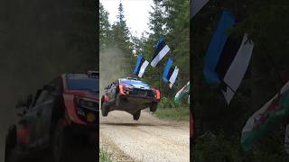 WRC Rally Estonia 2023 Jumps Compilation WRC Rally1 Hyundai Ford Toyota Shorts ShortsVideo [upl. by Nezah239]