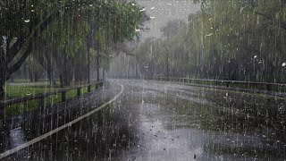 Sonido de Lluvia para un Sueño Profundo y Relajación Mental en 3 Minutos  Lluvia en Hermoso Bosque [upl. by Assej]